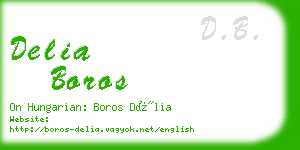 delia boros business card